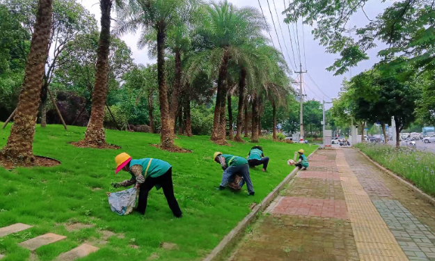 我市园林部门抢抓时节全面开展春季养护