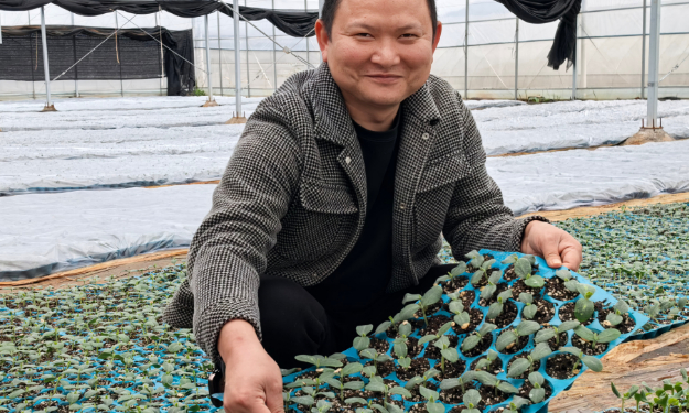 一株种苗，带富一方乡亲